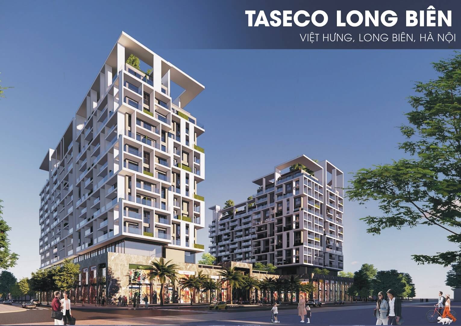 Taseco Land - Chủ đầu tư dự án Long Biên Central